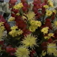 SBC_1979-01_Tuesday_Morning SBC_1979-01_Tuesday_Morning