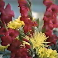 SBC_1979-02_Tuesday_Afternoon SBC_1979-02_Tuesday_Afternoon